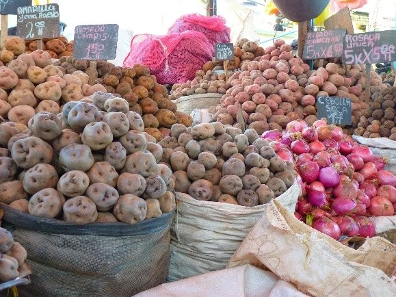 Variedad de papas nativas en mercado de Perú Sacos con diferentes variedades de papa nativa como papa amarilla, compis y canchan junto a cebolla roja en un mercado tradicional peruano